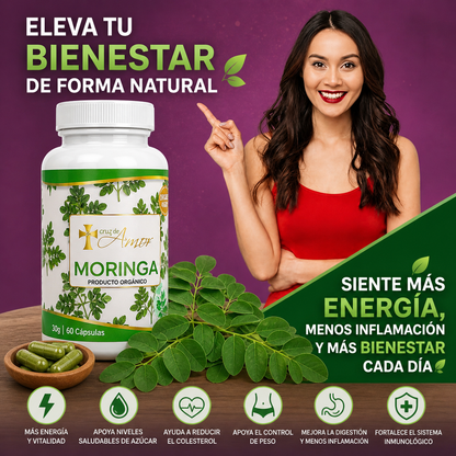 Moringa Equilibrio™ Orgánica / 60 Capsulas